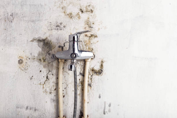 Best Water Damage Restoration  in Ashton Sandy Spring, MD