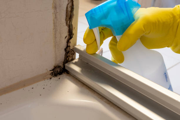 Best Crawl Space Mold Removal  in Ashton Sandy Spring, MD