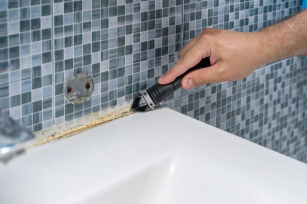 Best Emergency Mold Removal  in Ashton Sandy Spring, MD