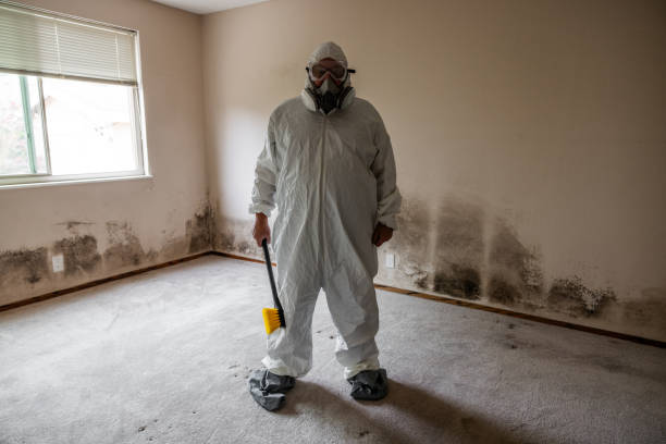 Best Professional Mold Removal  in Ashton Sandy Spring, MD